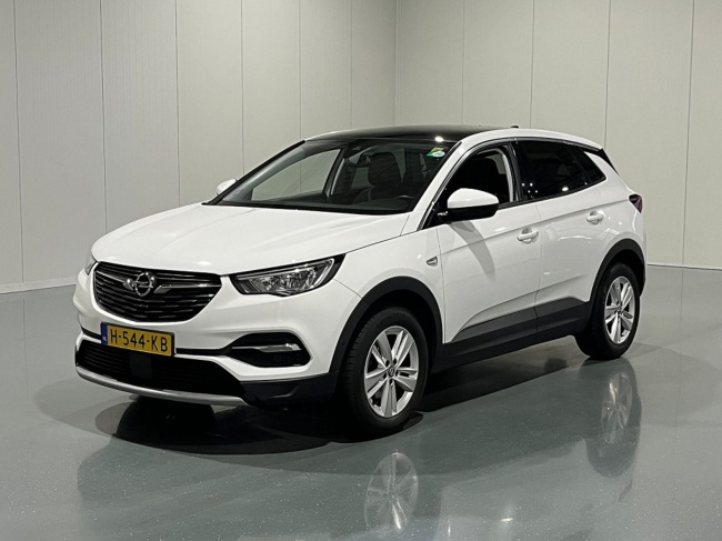 Opel Grandland X - 1.2 Turbo Automaat Business Executive